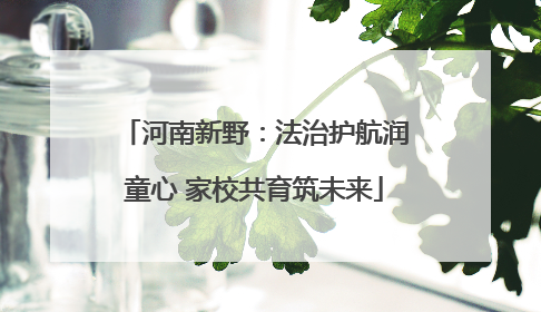 河南新野：法治护航润童心 家校共育筑未来