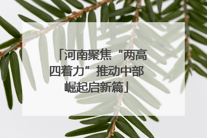 河南聚焦“两高四着力”推动中部崛起启新篇