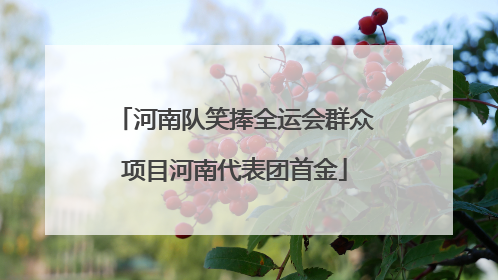 河南队笑捧全运会群众项目河南代表团首金