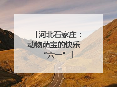 河北石家庄：动物萌宝的快乐“六一”