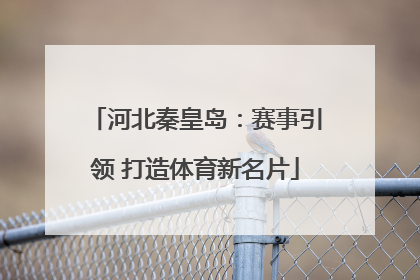 河北秦皇岛：赛事引领 打造体育新名片