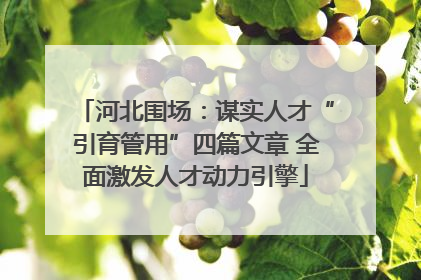 河北围场：谋实人才“引育管用”四篇文章 全面激发人才动力引擎
