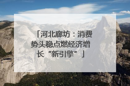 河北廊坊：消费势头稳点燃经济增长“新引擎”