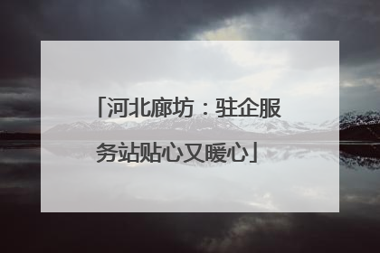 河北廊坊：驻企服务站贴心又暖心