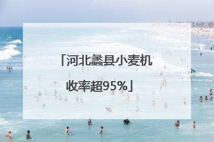 河北蠡县小麦机收率超95%