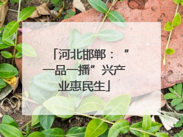 河北邯郸：“一品一播”兴产业惠民生