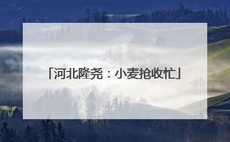 河北隆尧：小麦抢收忙