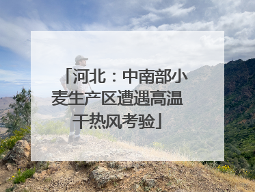 河北：中南部小麦生产区遭遇高温干热风考验