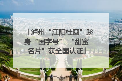 泸州“江阳桂圆”跻身“国字号” “甜蜜名片”获全国认证