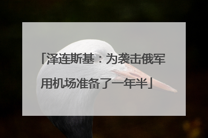 泽连斯基：为袭击俄军用机场准备了一年半