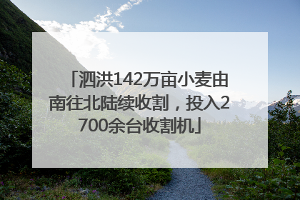 泗洪142万亩小麦由南往北陆续收割，投入2700余台收割机