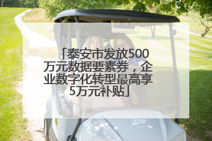 泰安市发放500万元数据要素券，企业数字化转型最高享5万元补贴