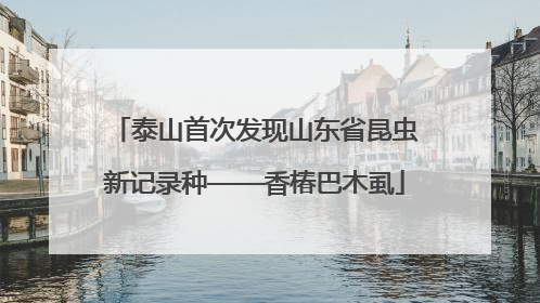 泰山首次发现山东省昆虫新记录种——香椿巴木虱