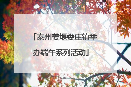 泰州姜堰娄庄镇举办端午系列活动