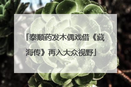 泰顺药发木偶戏借《藏海传》再入大众视野