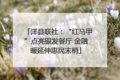 洋县联社：“红马甲”点亮银发餐厅 金融暖延伸惠民末梢
