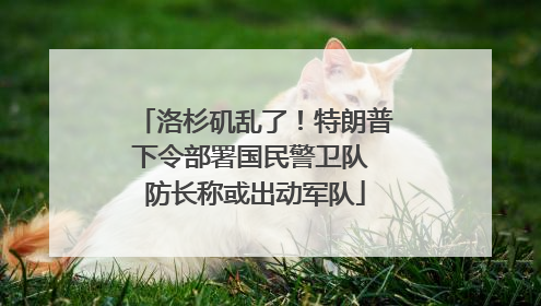 洛杉矶乱了！特朗普下令部署国民警卫队 防长称或出动军队