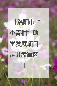洛阳市“小青柑”助学发展项目走进孟津区