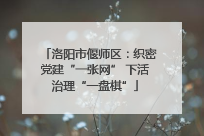 洛阳市偃师区：织密党建“一张网” 下活治理“一盘棋”