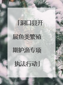 洞口县开展鱼类繁殖期护渔专项执法行动