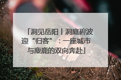 洞见岳阳丨洞庭碧波迎“归客”：一座城市与麋鹿的双向奔赴