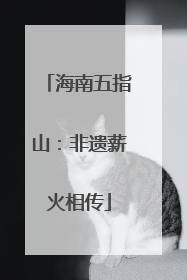 海南五指山：非遗薪火相传