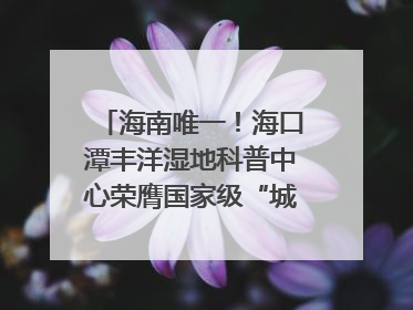 海南唯一！海口潭丰洋湿地科普中心荣膺国家级“城市儿童友好空间建设园区”称号