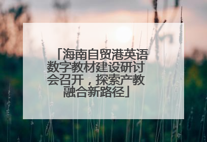 海南自贸港英语数字教材建设研讨会召开，探索产教融合新路径