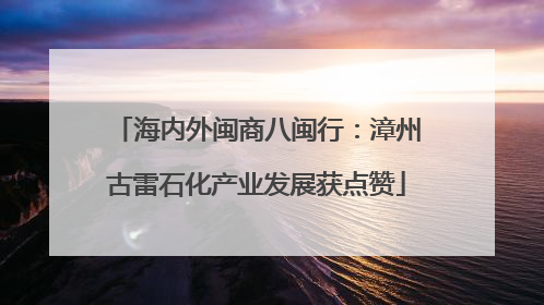 海内外闽商八闽行：漳州古雷石化产业发展获点赞