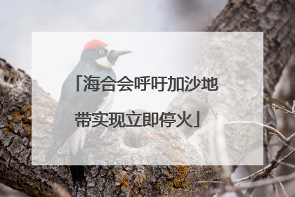 海合会呼吁加沙地带实现立即停火