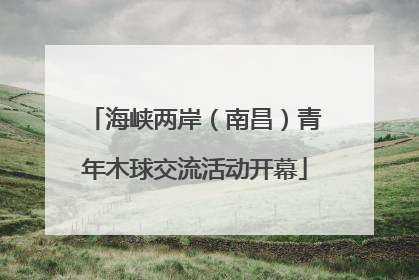 海峡两岸（南昌）青年木球交流活动开幕