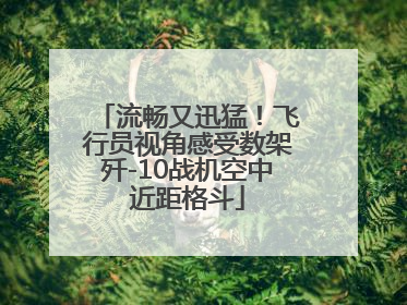 流畅又迅猛！飞行员视角感受数架歼-10战机空中近距格斗