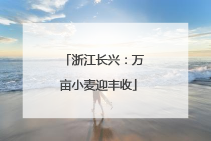 浙江长兴：万亩小麦迎丰收