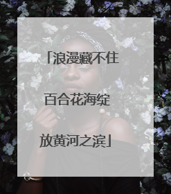 浪漫藏不住 百合花海绽放黄河之滨