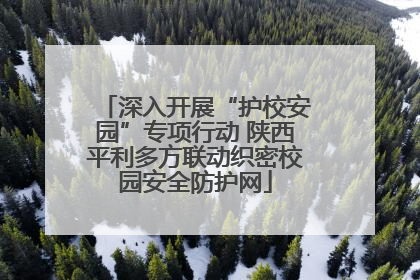 深入开展“护校安园”专项行动 陕西平利多方联动织密校园安全防护网
