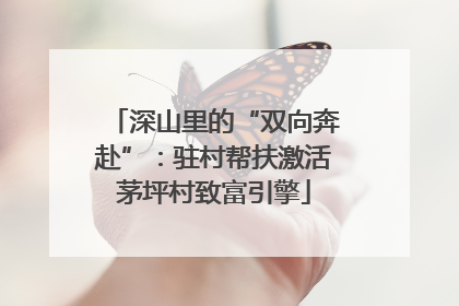 深山里的“双向奔赴”：驻村帮扶激活茅坪村致富引擎