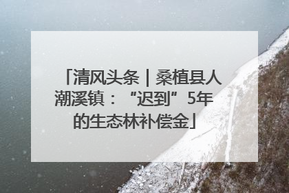 清风头条｜桑植县人潮溪镇：“迟到”5年的生态林补偿金
