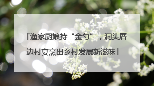 渔家厨娘持“金勺”，洞头厝边村宴烹出乡村发展新滋味
