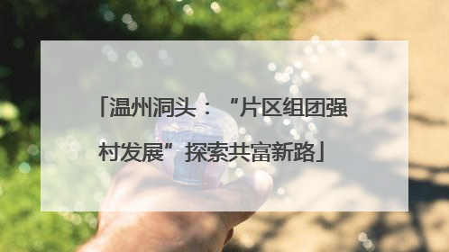 温州洞头：“片区组团强村发展”探索共富新路