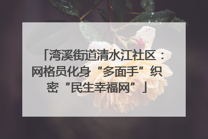 湾溪街道清水江社区：网格员化身“多面手”织密“民生幸福网”