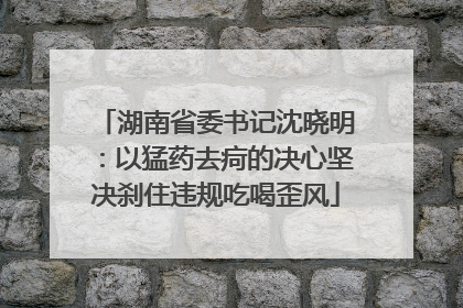 湖南省委书记沈晓明：以猛药去疴的决心坚决刹住违规吃喝歪风