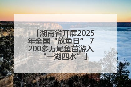 湖南省开展2025年全国“放鱼日” 7200多万尾鱼苗游入“一湖四水”