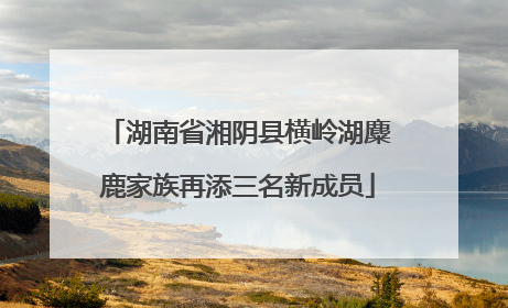 湖南省湘阴县横岭湖麋鹿家族再添三名新成员