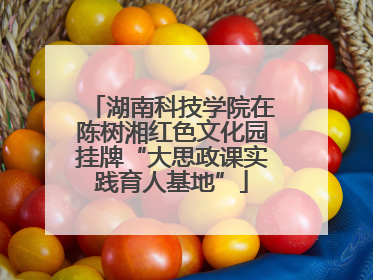 湖南科技学院在陈树湘红色文化园挂牌“大思政课实践育人基地”