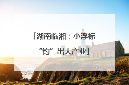 湖南临湘：小浮标“钓”出大产业