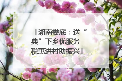 湖南娄底：送“典”下乡优服务 税惠进村助振兴