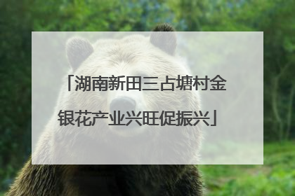 湖南新田三占塘村金银花产业兴旺促振兴