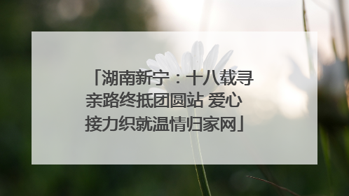 湖南新宁：十八载寻亲路终抵团圆站 爱心接力织就温情归家网