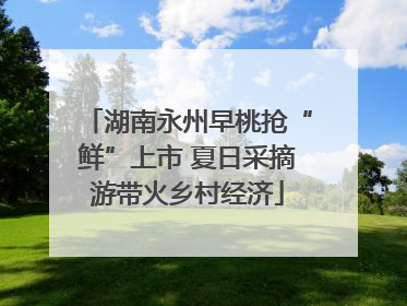 湖南永州早桃抢“鲜”上市 夏日采摘游带火乡村经济