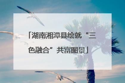 湖南湘潭县绘就“三色融合”共富图景